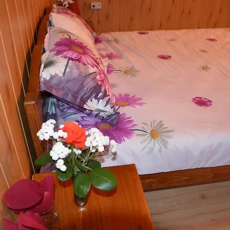 Guest house Casa Cu Povesti