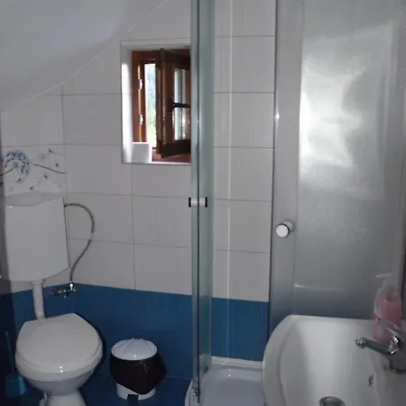 Guest house Casa Cu Povesti
