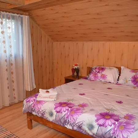 Guest house Casa Cu Povesti Rosia Montana